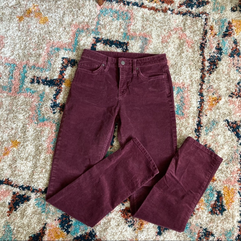 Patagonia corduroy pants